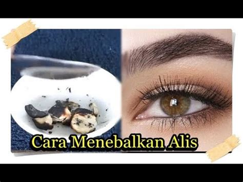 Cara Menebalkan Alis Secara Alami Menggunakan Buah Kemiri Youtube