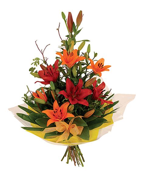 Orange Lily - Lily Of The Valley Flowers