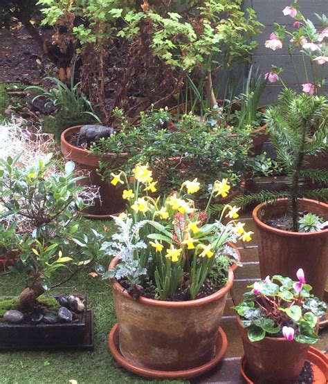 Gardening - Containers for Small Spaces