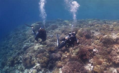 Wisata Bawah Laut Di Pulau Tomia Wakatobi Foto Okezone Foto