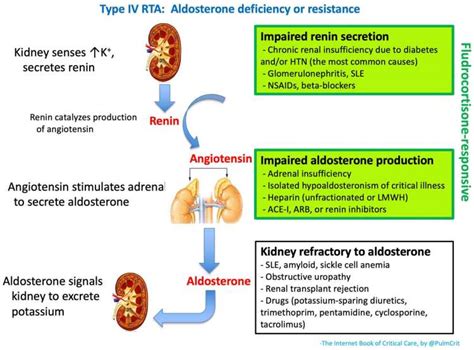 Non Anion Gap Metabolic Acidosis Nagma Emcrit Project