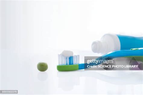 pea library   premium high res pictures getty images