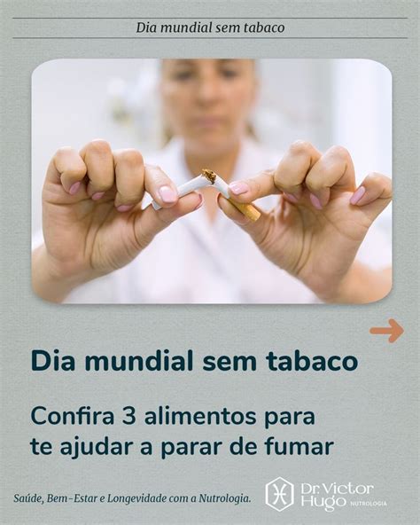 Fumar N O Faz Mal S Para Seus Pulm Es Mas Para Todo O Seu Corpo A