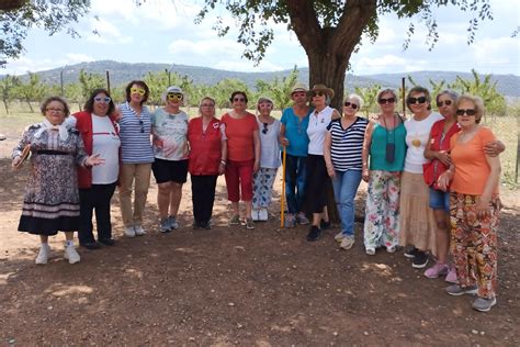 Mayores De Cruz Roja De Almod Var Puertollano Y Argamasilla De