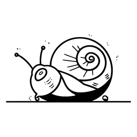 Premium Vector Snail Cartoon Vector Illustration Isolated On A White