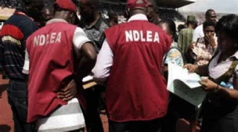 Check Ndlea Recruitment Aptitude Test Results Ndlea Exam