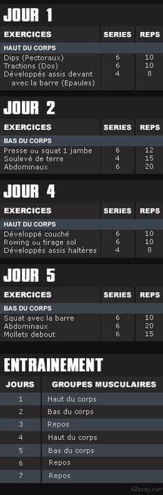 Programme De Musculation Half Body Programme Musculation Musculation