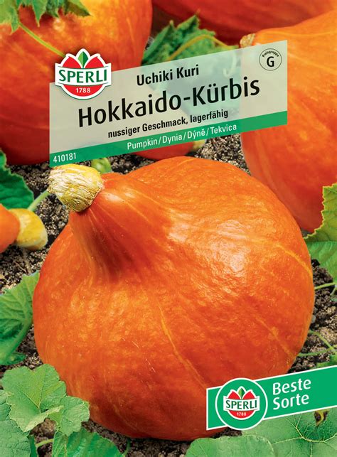 Sperli Hokkaido Kürbis Uchiki Kuri kaufen Globus Baumarkt