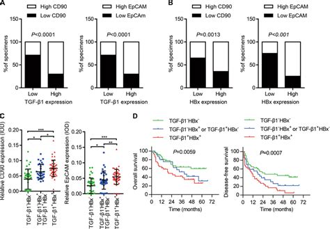 The Levels Hbx And Tgf Positively Correlate With Hepatic Stem Cell