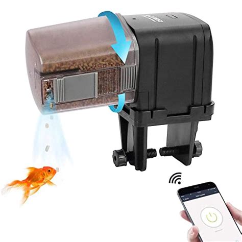 Top 10 Best Fish For Office Aquarium Reviews Buying Guide Katynel