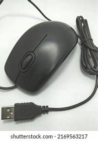 One Computer Input Devices Called Mouse Stock Photo 2169563217 ...