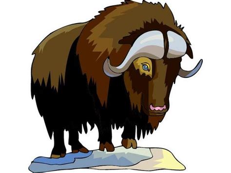 Free Cartoon Bison Cliparts, Download Free Cartoon Bison Cliparts png ...