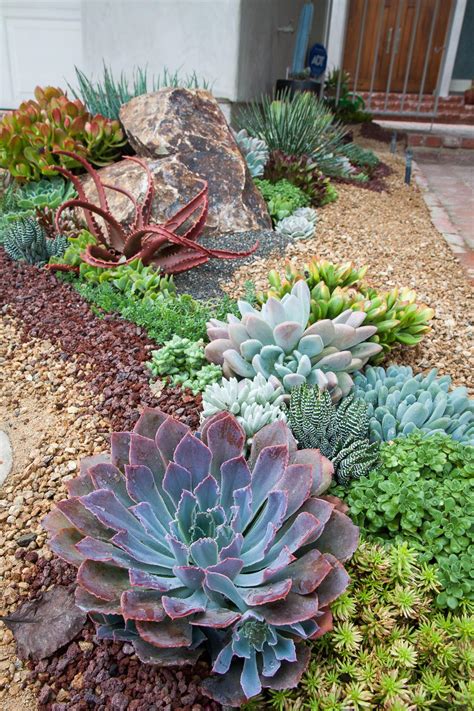 Delightful Succulent Gardens That Will Inspire You