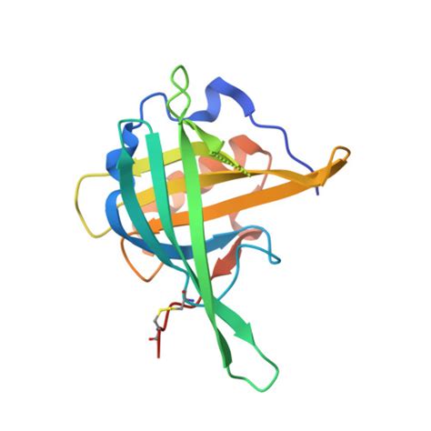 RCSB PDB - 3CQN: Crystal Structure of the Lipocalin domain of ...