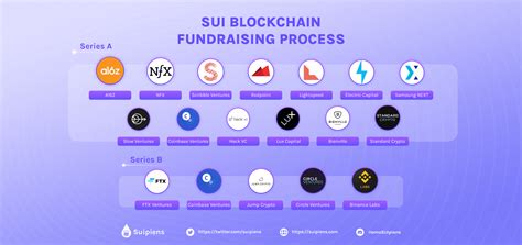 A Beginner S Guide To Sui Blockchain