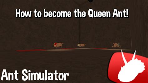 Roblox Ant Simulator Roblox Ant Simulator How To Be The Queen