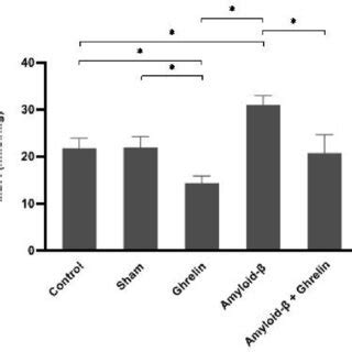 The MDA Level Nmol Mg Protein In The Hippocampus Of Rats In The