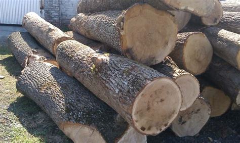 White Oak Logs For Sale Near Me There Have Been Significant Log Book Navigateur