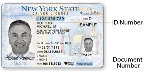 Sample New York State DMV Photo Documents | New York State Department of Motor Vehicles