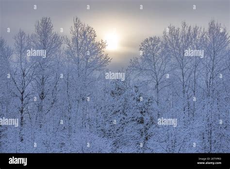 Beautiful winter landscape in northern Wisconsin Stock Photo - Alamy