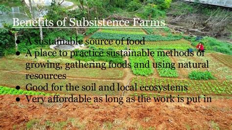 Subsistence Farming Fasrhosts