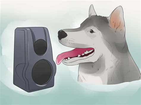 how to keep a neighbor's dog from barking