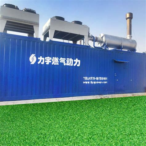 China Liyu Gas Power 1 5MW 1500kw High Voltage Gas Fired Internal