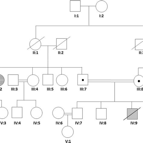 Integrative Genomics Viewer Visualization Showing The C T C