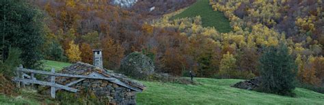 Ruta A La Cascada Del Xiblu Por El Hayedo De Montegrande Asturias