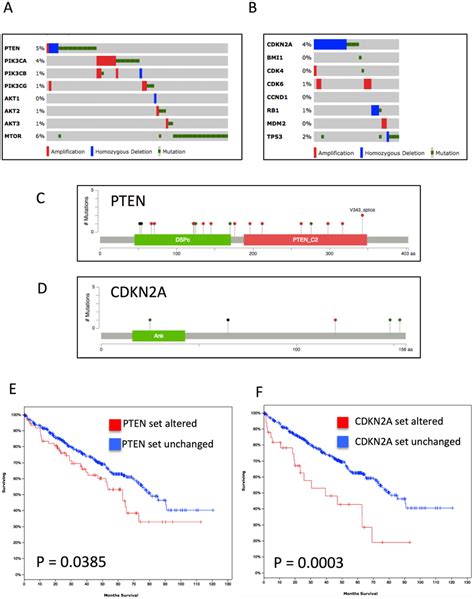 Genes From Pten And Cdkn A Gene Sets Were Frequently Mutated In Ccrcc