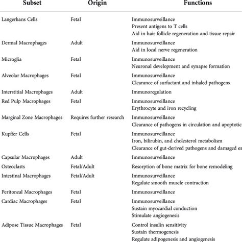 Summary Of Tissue Resident Macrophage Subsets Origins And Functions