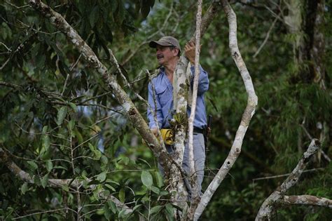 Parques Nacionales Naturales De Colombia Lamenta El Fallecimiento Del