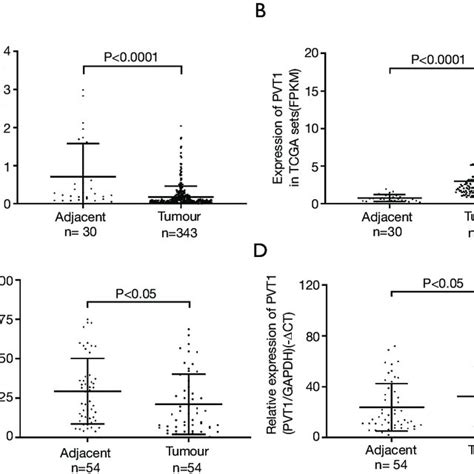 Using Tcga Data We Observed That The Expression Of Adamts9 As2 Was