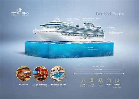 Diamond Princess Cruise Ship Infographic Ocean Cruise, Bahamas Cruise ...