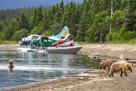 Visiting Katmai National Park Tours And Best Things To Do