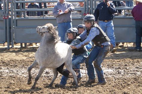 Cereal Kids Rodeo a blast for all who took part - WestCentralOnline ...