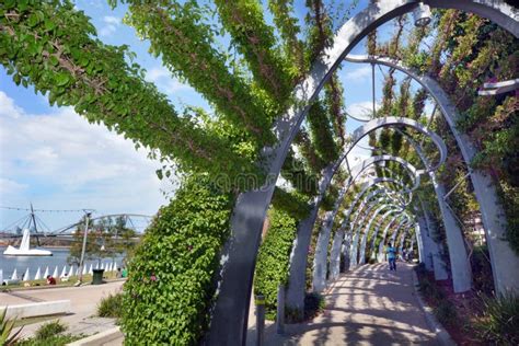 South Bank Parklands Brisbane Australia Editorial Stock Image Image