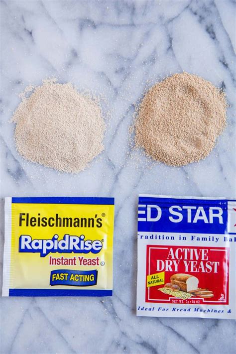 The Real Difference Between Active Dry Yeast And Instant Yeast