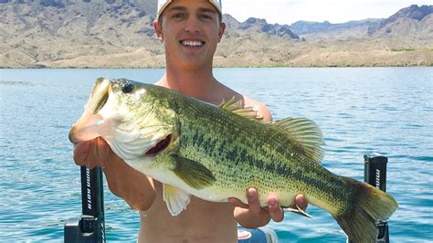 Bass Fishing Arizona Lake Havasu YouTube