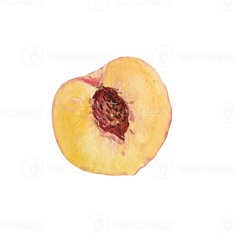 Rebanada De Fruta De Durazno Acuarela Png