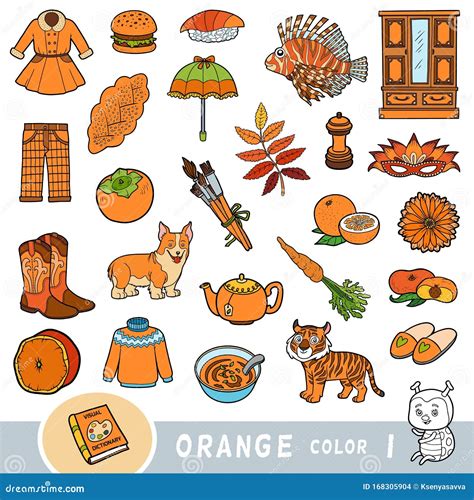 Colorful Set of Orange Color Objects. Visual Dictionary for Children ...