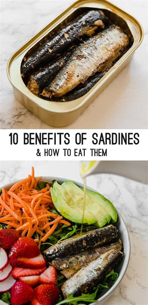 10 Benefits Of Eating Sardines And A Simple Recipe Laptrinhx News