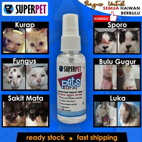 🔥trusted Saller🔥ubat Kucing Anjing Pet Kurap Kudis Fungus Kerapu