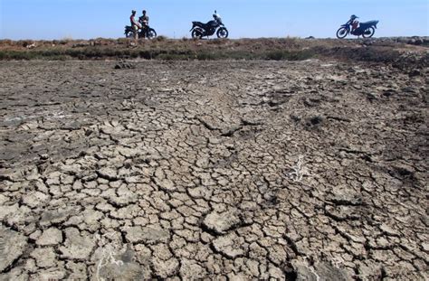 BNPB Puncak Kekeringan Di Indonesia Terjadi November Okezone News