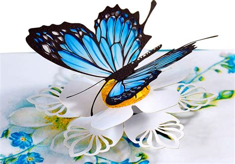 Cutpopup Blue Morpho Butterfly Birthday Card For Women Mothers Day