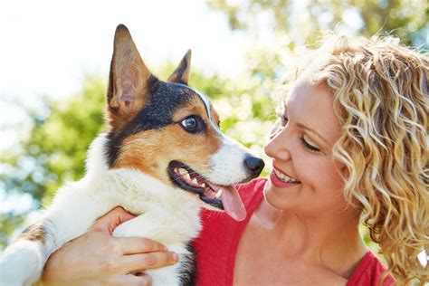 Mutuelle Animaux Comment Trouver La Meilleure Assurance Pour Votre