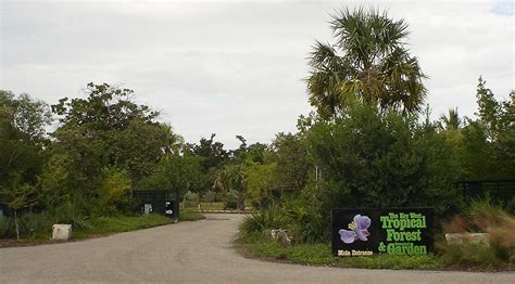 Bird Walk: Key West Tropical Forest & Botanical Garden — Phoebes Birding