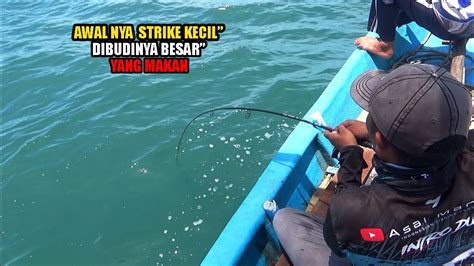 Awalnya Strike Kecil Tapi Ke Belakang Nya Besar Yang Makan Ikan Nya