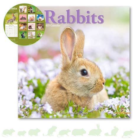 Year Of The Rabbit Calendar Sybil Euphemia