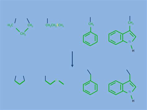 Ppt Help Memorizing Amino Acids Powerpoint Presentation Free